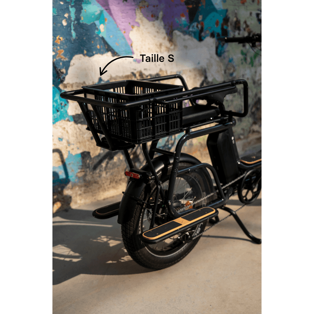 Caisse Basil MIK - Taille S ou L - ElwingS