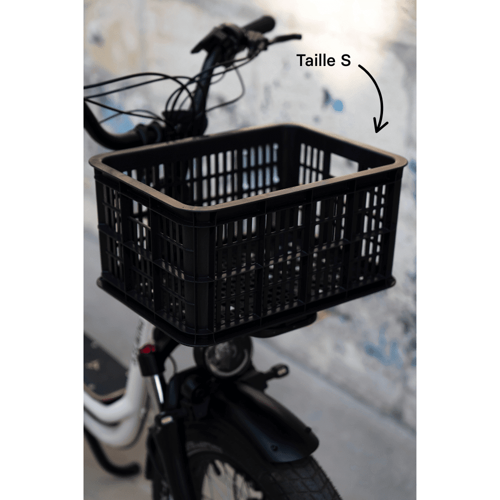 Caisse Basil MIK - Taille S ou L - ElwingS