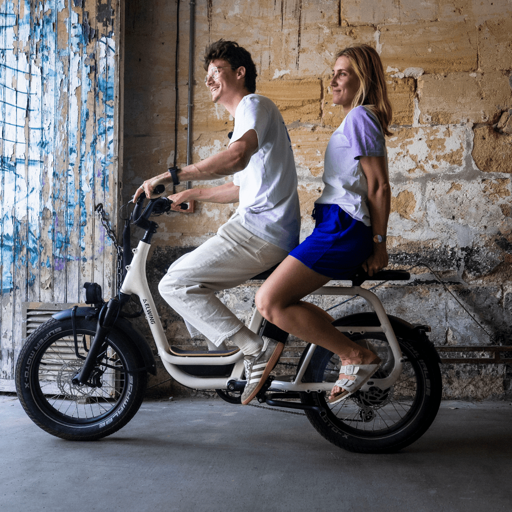 Poignées passager - Elwing