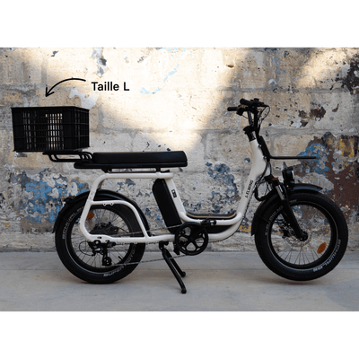 Caisse Basil MIK - Taille S ou L - ElwingS