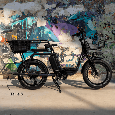 Caisse Basil MIK - Taille S ou L - ElwingS