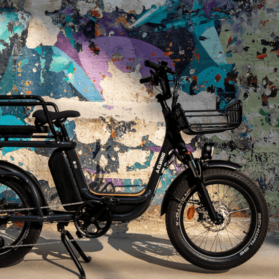 Grand panier avant - Elwing