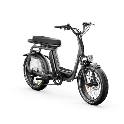Ritmic Duo - vélo électrique cargo biplace - ElwingStandardGris charbon 