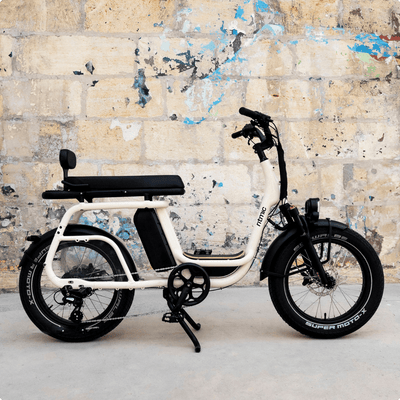 Ritmic Duo - vélo électrique cargo biplace - ElwingStandardBlanc Perlé 